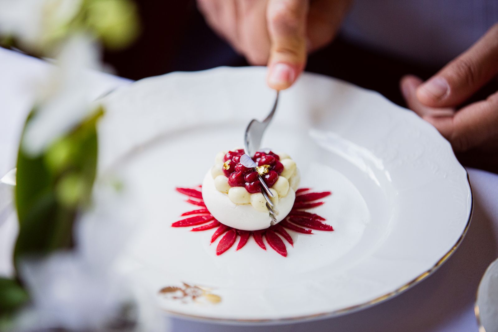 Food on the Danube Express