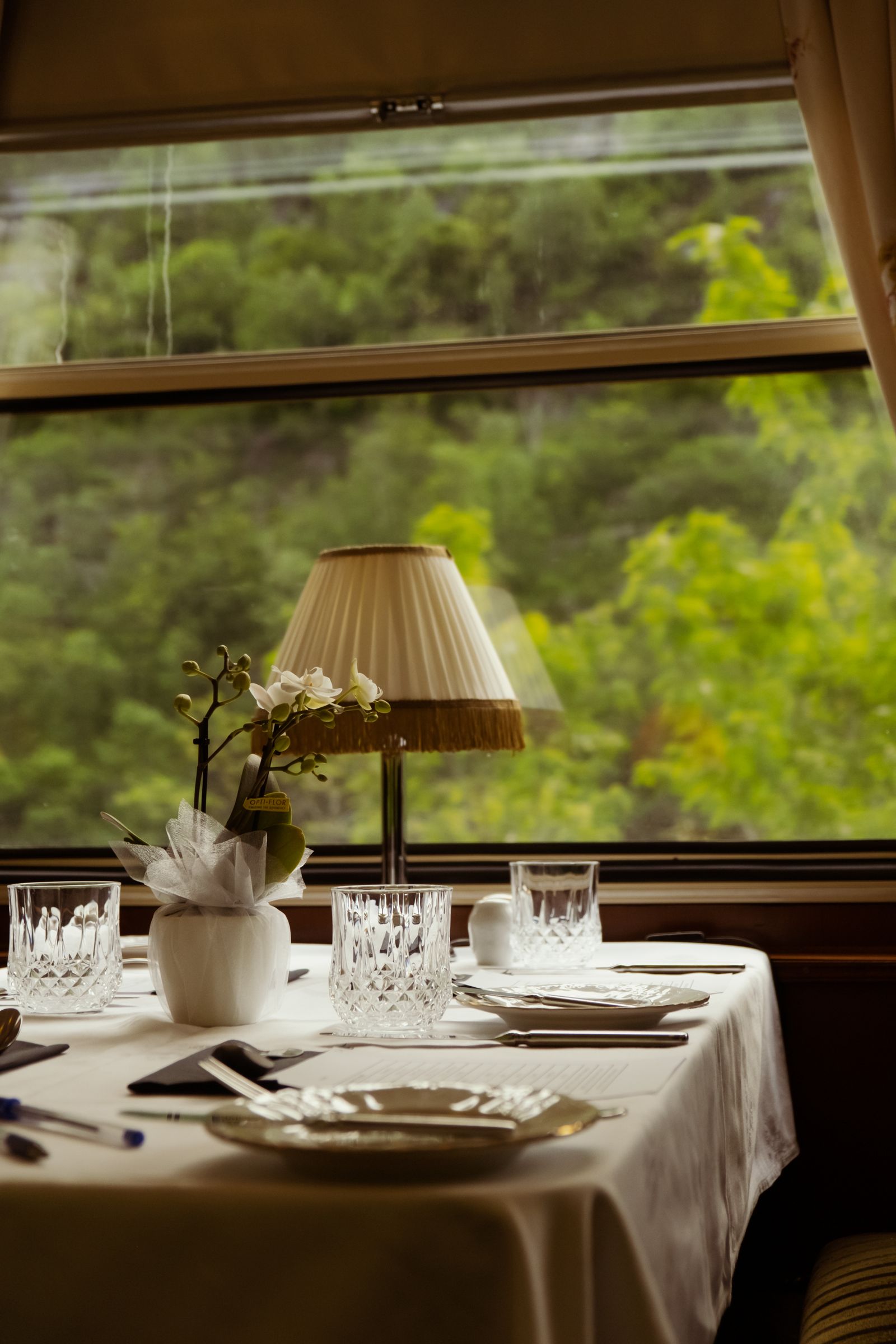 A set table in the Danube Express