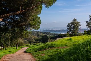 Monsanto Park