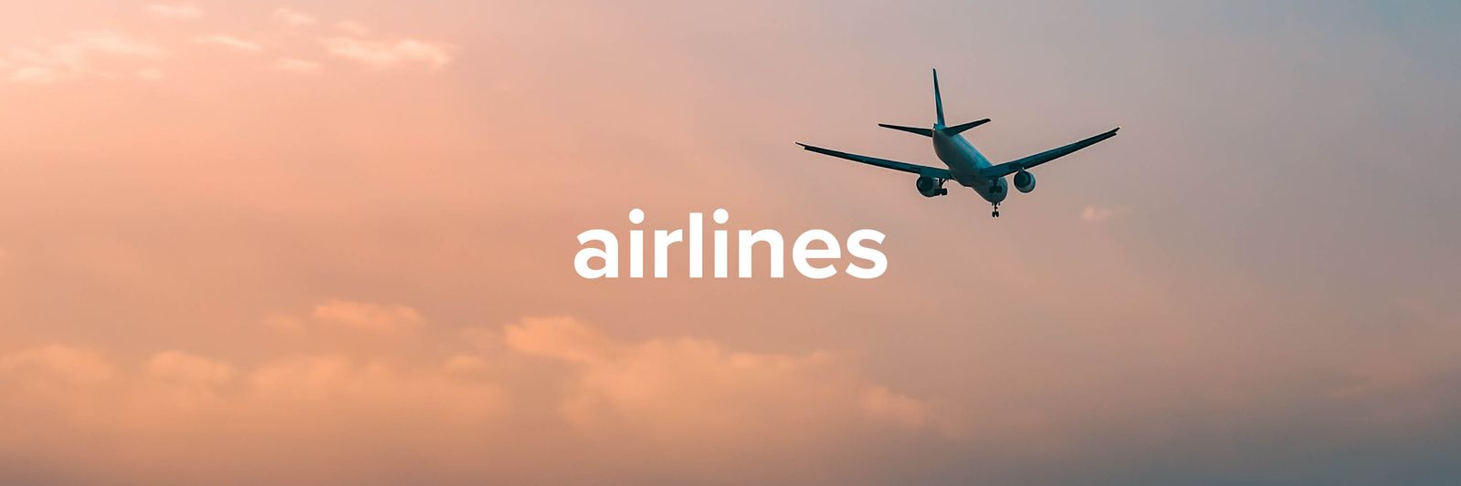 Image may contain Aircraft Flight Transportation Vehicle Airliner Airplane Takeoff Animal Bird and Flying