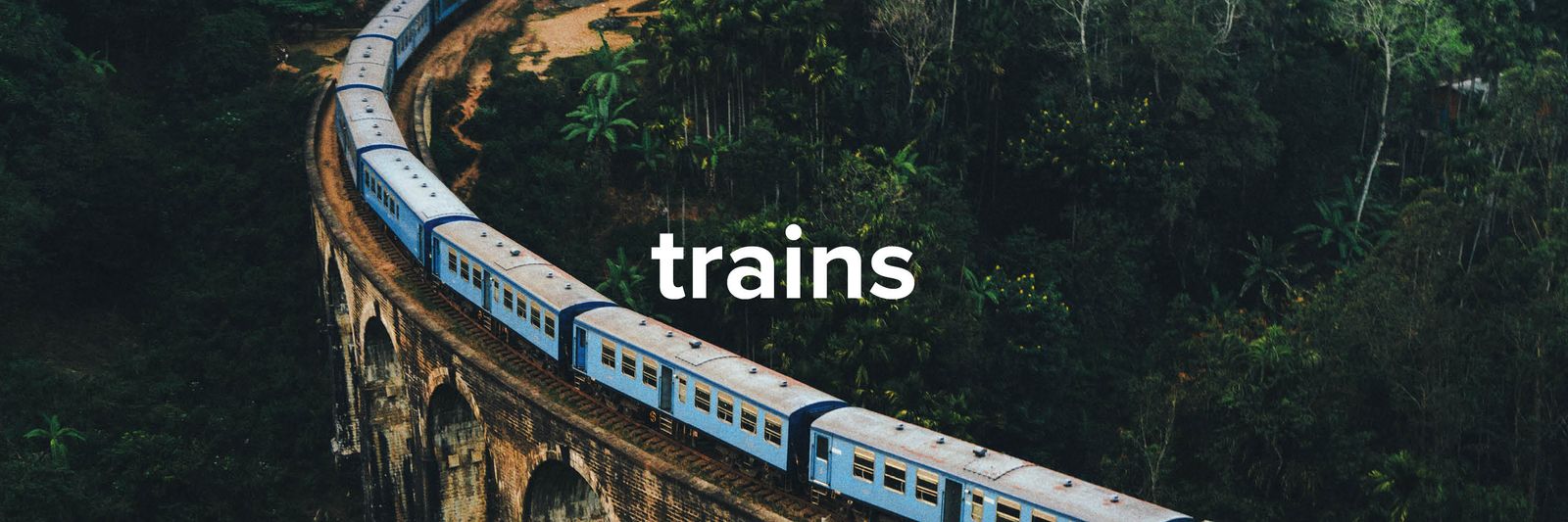 Image may contain Plant Vegetation Land Nature Outdoors Tree Woodland Rainforest Railway Train and Transportation