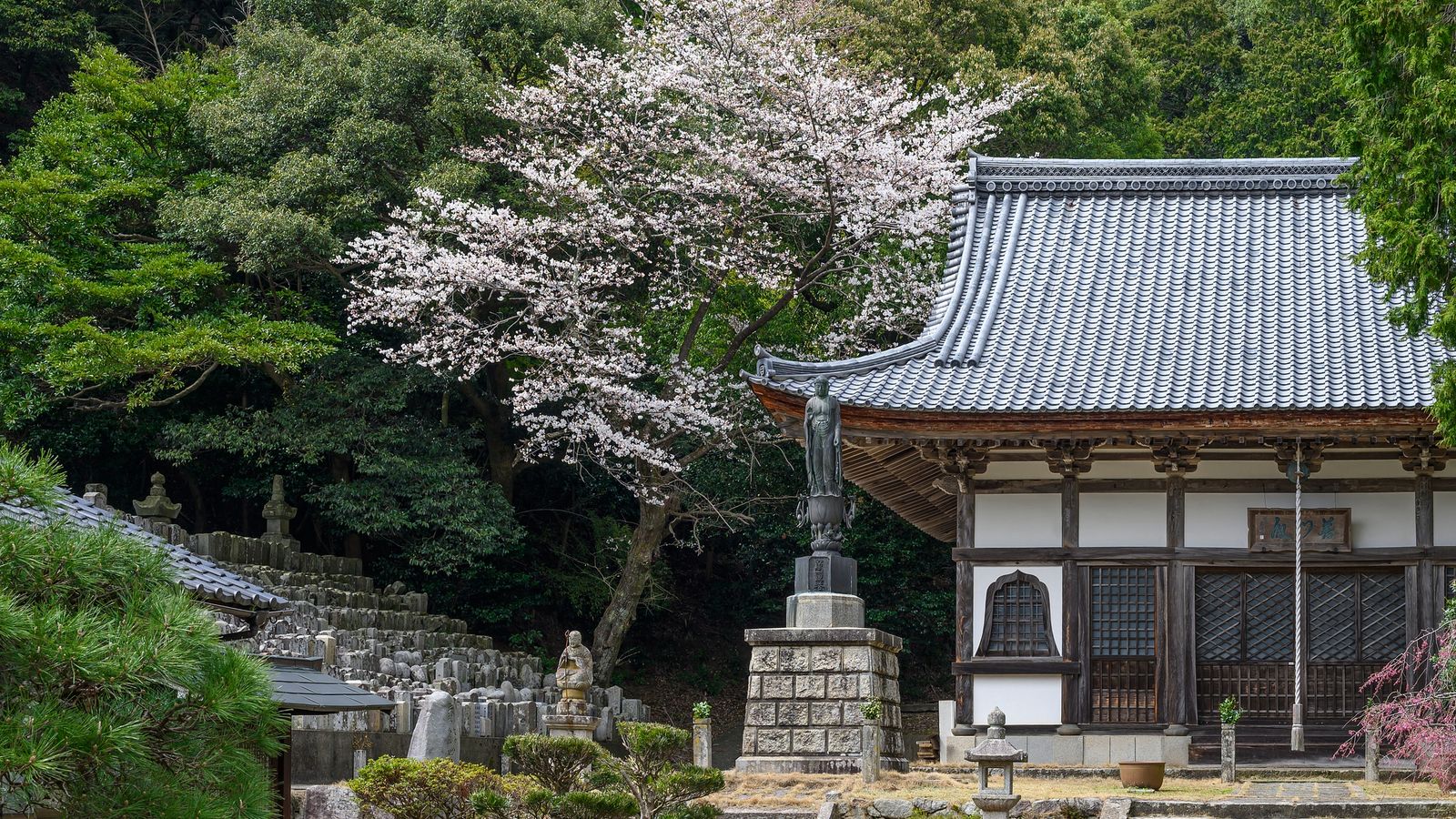 On Japan’s rural coast, one sleepy town’s locals are vying for the megacities’ travellers