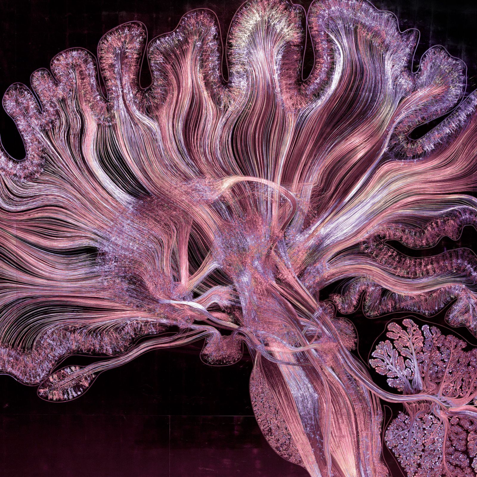 The A to Z of longevity hacks