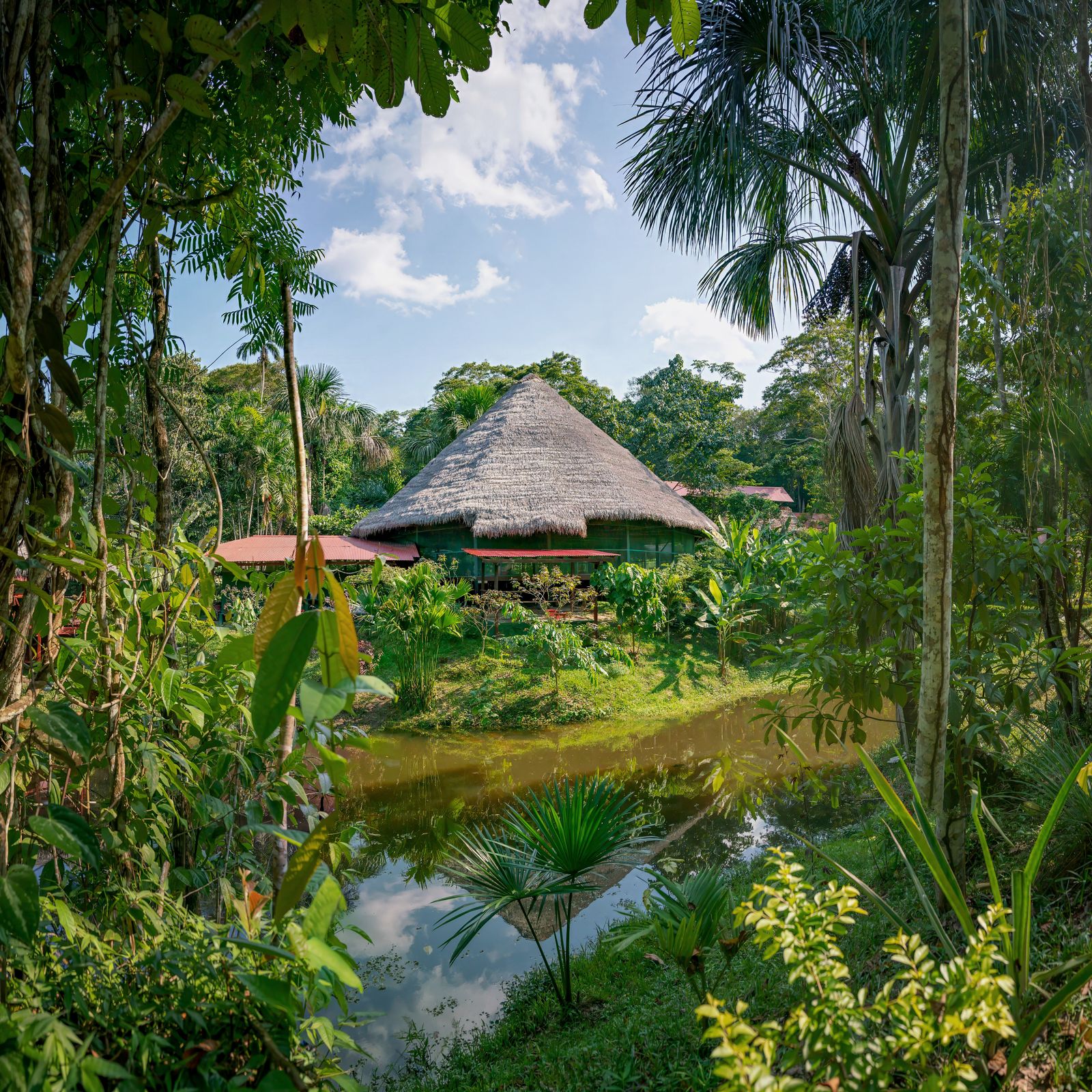 Everything you need to know about ayahuasca retreats